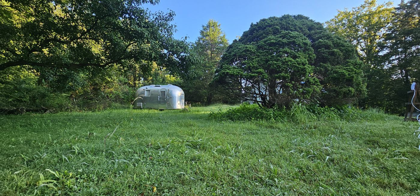 The Airstream in a green summer clearing framed by trees