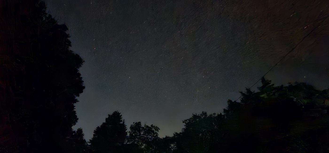 Stars over the treeline on a clear night