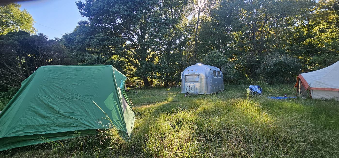 Tents pitched in the grass with the Airstream and tall trees behind them
